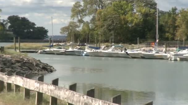 Boten verankerd in het Marina — Stockvideo