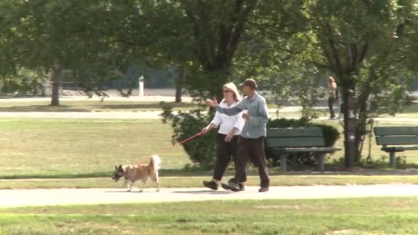 Пара, гуляющая с собакой — стоковое видео