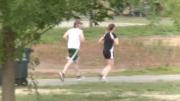 Promenader och Jogging i parken — Stockvideo