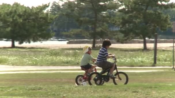 Enfants en vélo dans le parc — Video