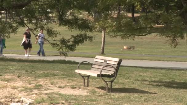 Caminar y trotar en el parque — Vídeo de stock