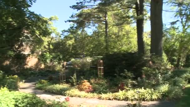 Jardins de Bartlett Arboretum — Vídeo de Stock