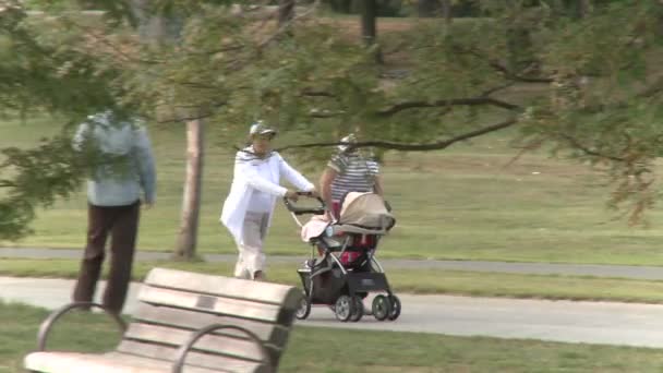 Deux grands-mères poussant la poussette bébé dans le parc — Video