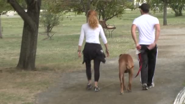 Paar nemen hond voor een wandeling in het park (1 van 2) — Stockvideo