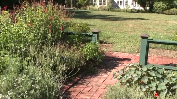 Bartlett Arboretum Visitors' Center and grounds — Stock Video