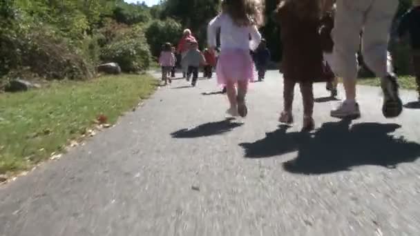 Дети идут по тропе — стоковое видео