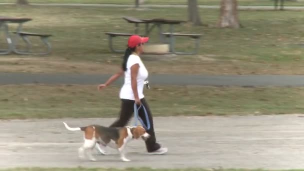 Mujer paseando a su perro — Vídeo de stock