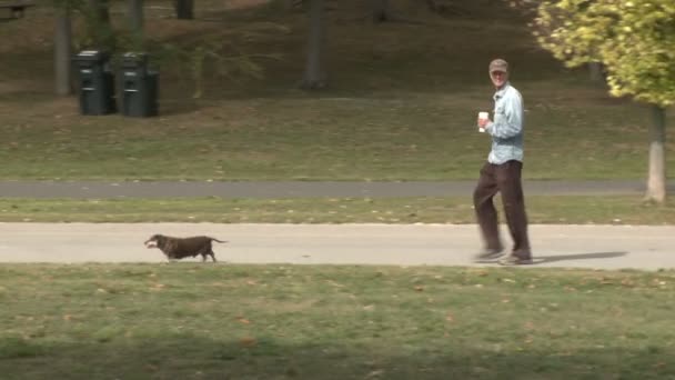 Hombre caminando dachsund a lo largo del sendero del parque (2 de 2 ) — Vídeos de Stock