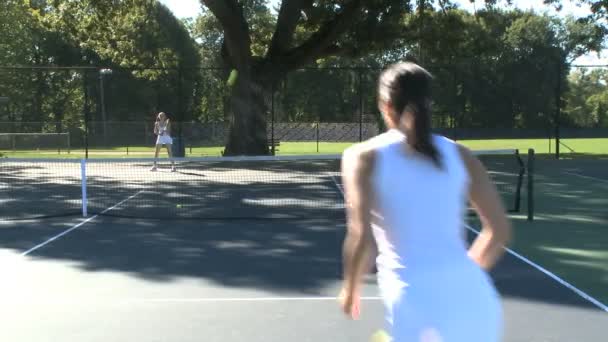 Mujeres deportivas jugando al tenis — Vídeo de stock