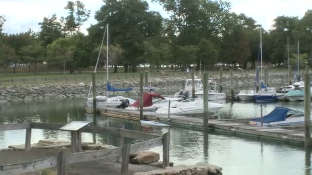 Barcos ancorados na Marina — Vídeo de Stock