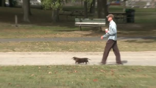 Hombre dachsund caminando a lo largo del sendero del parque (1 de 2 ) — Vídeos de Stock