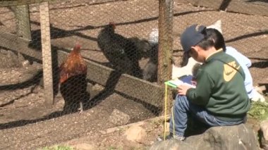 Not alma ve hayvanlar gözlemleyerek çocuk