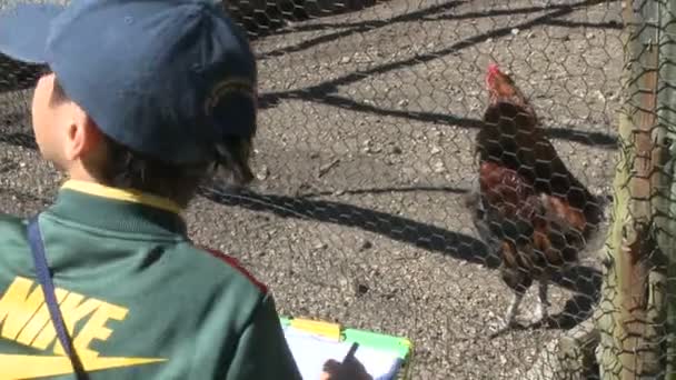 Niños tomando notas y observando animales — Vídeos de Stock