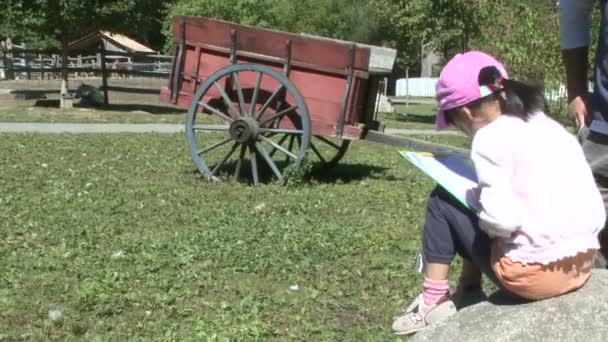 Дети делают заметки и наблюдают за животными — стоковое видео