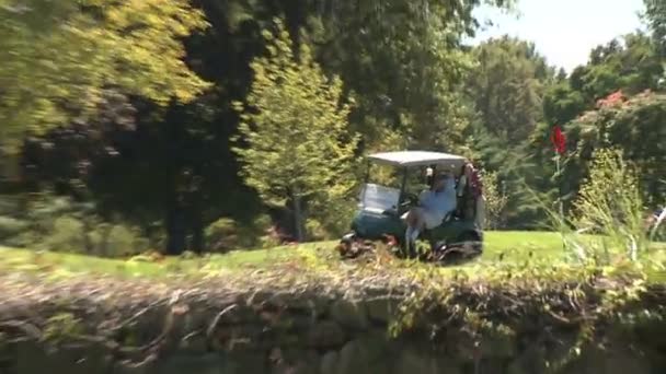 Wózek golfowy wzdłuż krawędzi drogi — Wideo stockowe