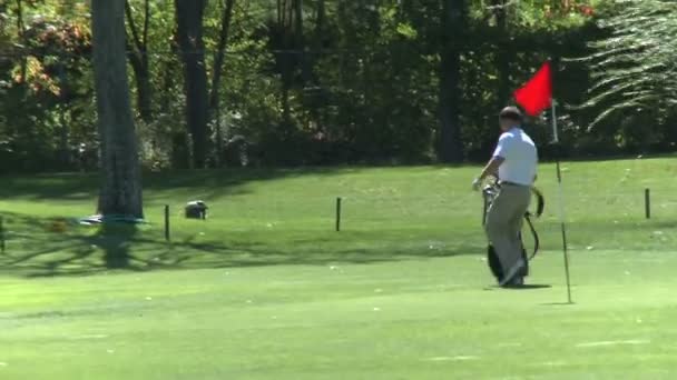 Golfer trägt Tasche auf Grün — Stockvideo