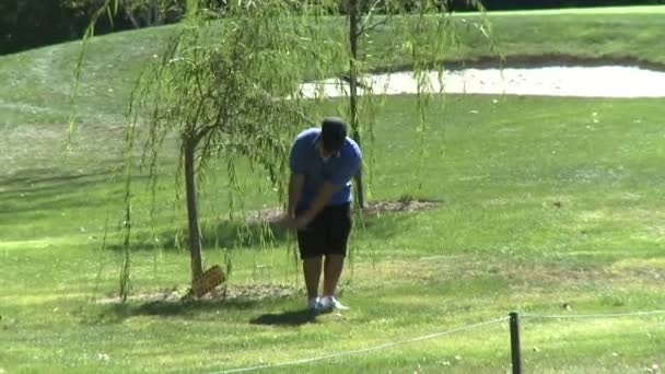 Golfspelare flisning av grov — Stockvideo