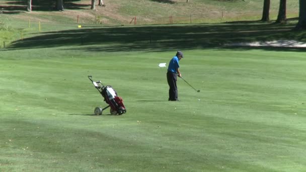 Golfer slaan neer fairway — Stockvideo