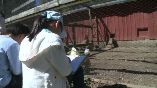 Enfants prenant des notes et observant des animaux — Video