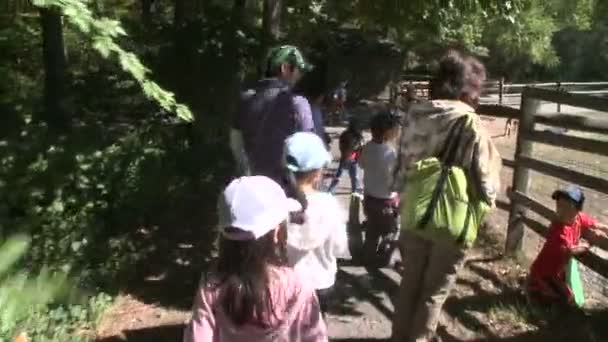 Niños corriendo por el camino al zoológico de mascotas (2 de 3 ) — Vídeo de stock