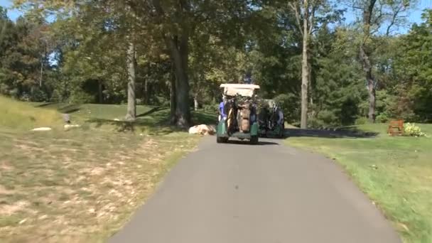 Following golf carts along path — Stock Video