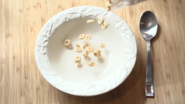 Avoine anneaux céréales tombe dans le bol — Video