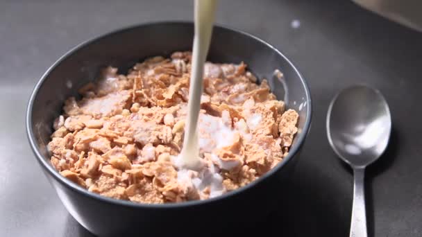 bol avec petit déjeuner aux céréales et lait 