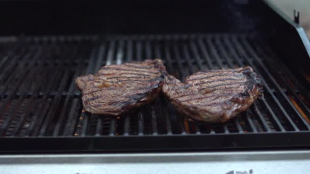 Geroosterd vlees op grill — Stockvideo