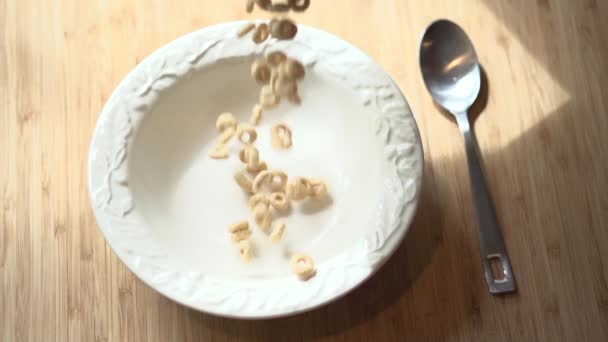 Anillos de avena cereales cae en tazón — Vídeos de Stock