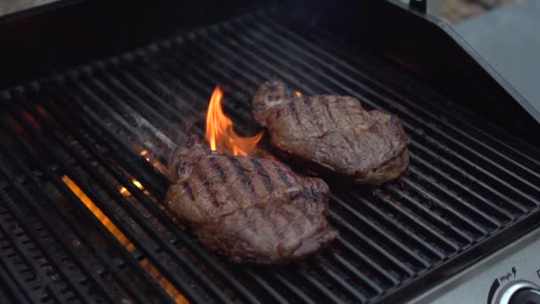 Kød stegt på grill – Stock-video