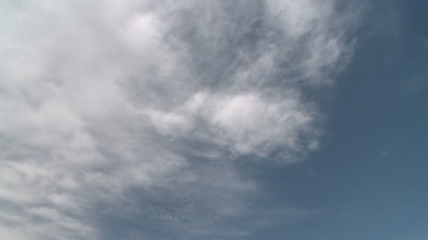 Arc de porte dans la ville de Saint-Louis — Video