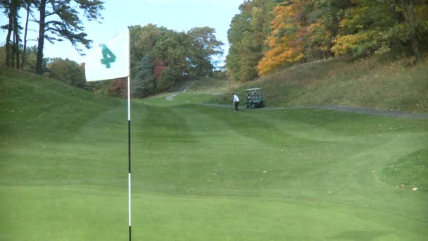 Hombre jugando al golf — Vídeo de stock