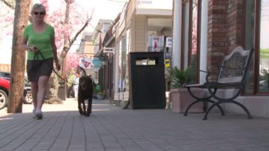 Kaldırım (1 / 2 çikolata onun laboratuarı yürüyen kadın)