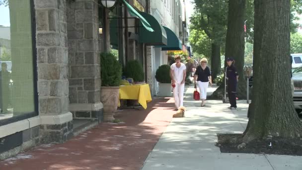 Mulher com cão na trela na calçada — Vídeo de Stock