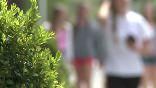 People walking down sidewalk — Stock Video