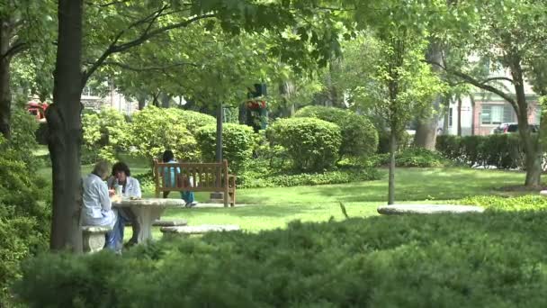 Mensen zitten in een park — Stockvideo