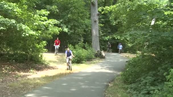 Spaziergänger und Fahrradfahrer im Park (1 von 3) — Stockvideo