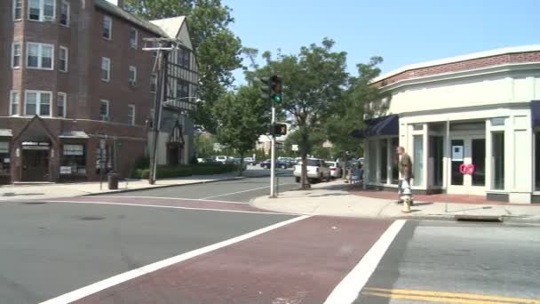 Crosswalk no cruzamento (1 de 3 ) — Vídeo de Stock