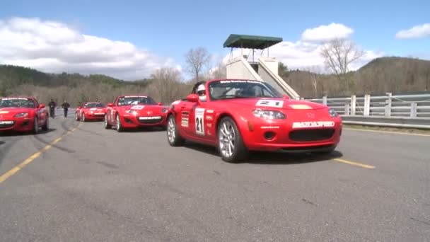 Line-up van rode Mazdas — Stockvideo