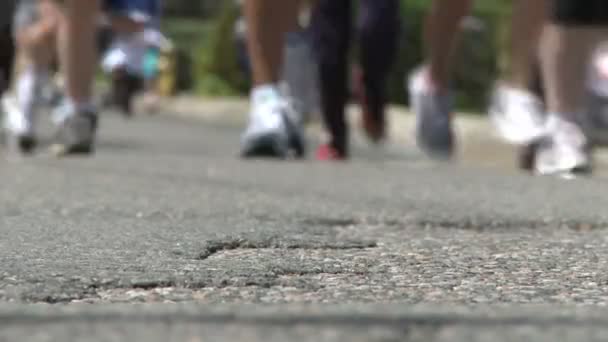 Gran multitud de personas en maratón — Vídeos de Stock