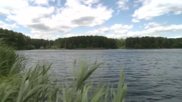 lac près de forêt verte 