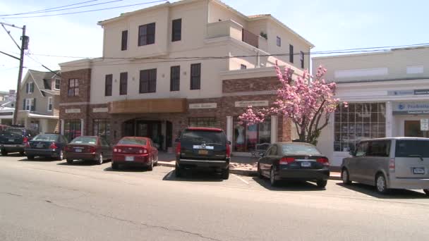 Looking across Main Street with pink blossoms along the sidewalk (1 of 2) — Stock Video