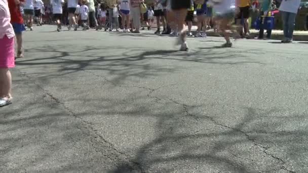 Grote menigte van mensen op marathon — Stockvideo
