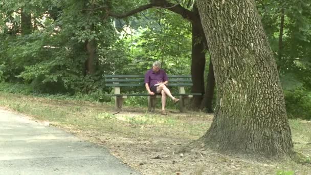 Homem sentado no banco no parque — Vídeo de Stock