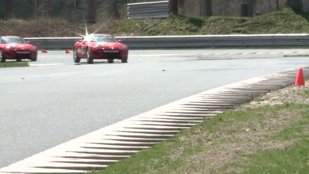 Sports Cars racing — Stock Video