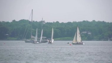 Doğal deniz manzarası (4 / 10)