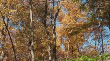 Topstone Park (1 / 6)