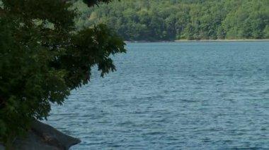 Sakin bay (1 / 6 inceliyorlar)