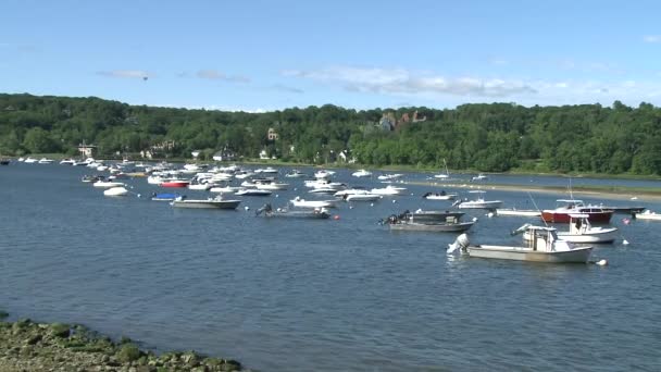 Boats at rest in harbor (3 of 3) — Stock Video