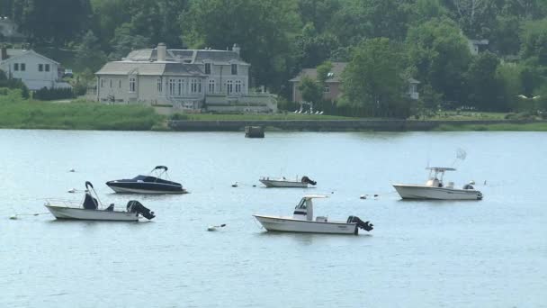 Boats on a beautiful river (1 of 3) — Stock Video